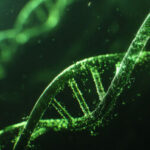 Logo du équipee Microalgae