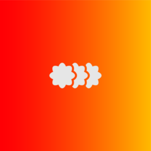 Logo du équipee SKOO